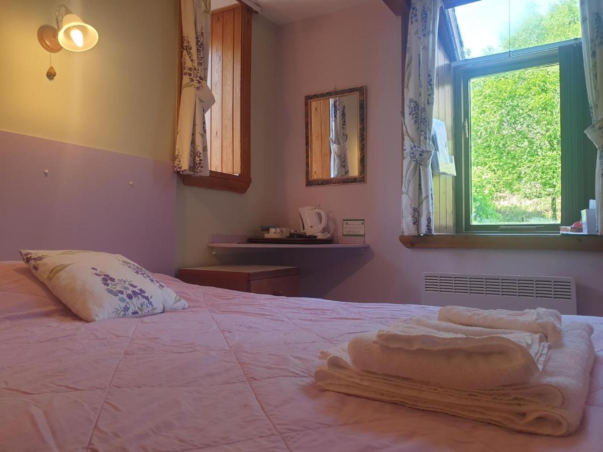 Bryn Elltyd Eco Guest House Blaenau Ffestiniog Extérieur photo