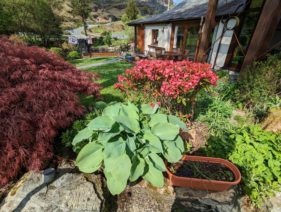 Bryn Elltyd Eco Guest House Blaenau Ffestiniog Extérieur photo
