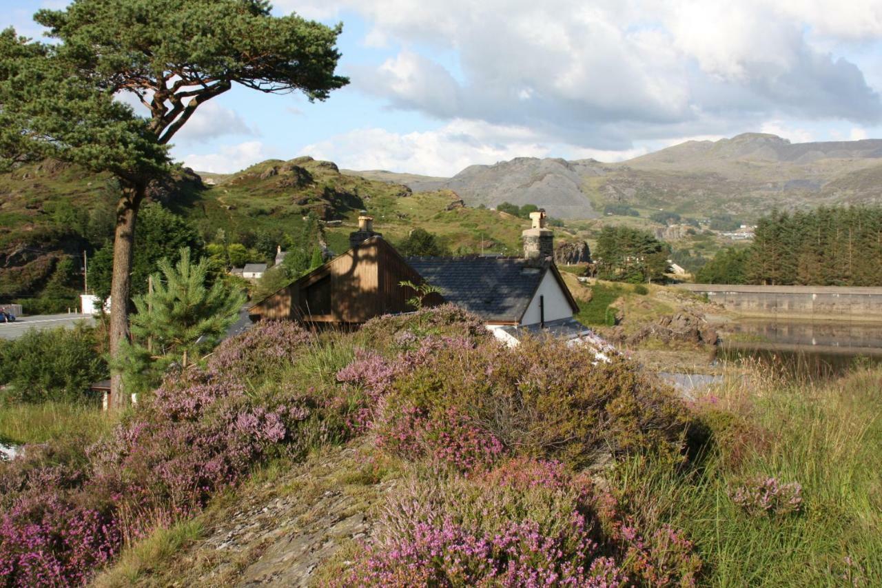 Bryn Elltyd Eco Guest House Blaenau Ffestiniog Extérieur photo