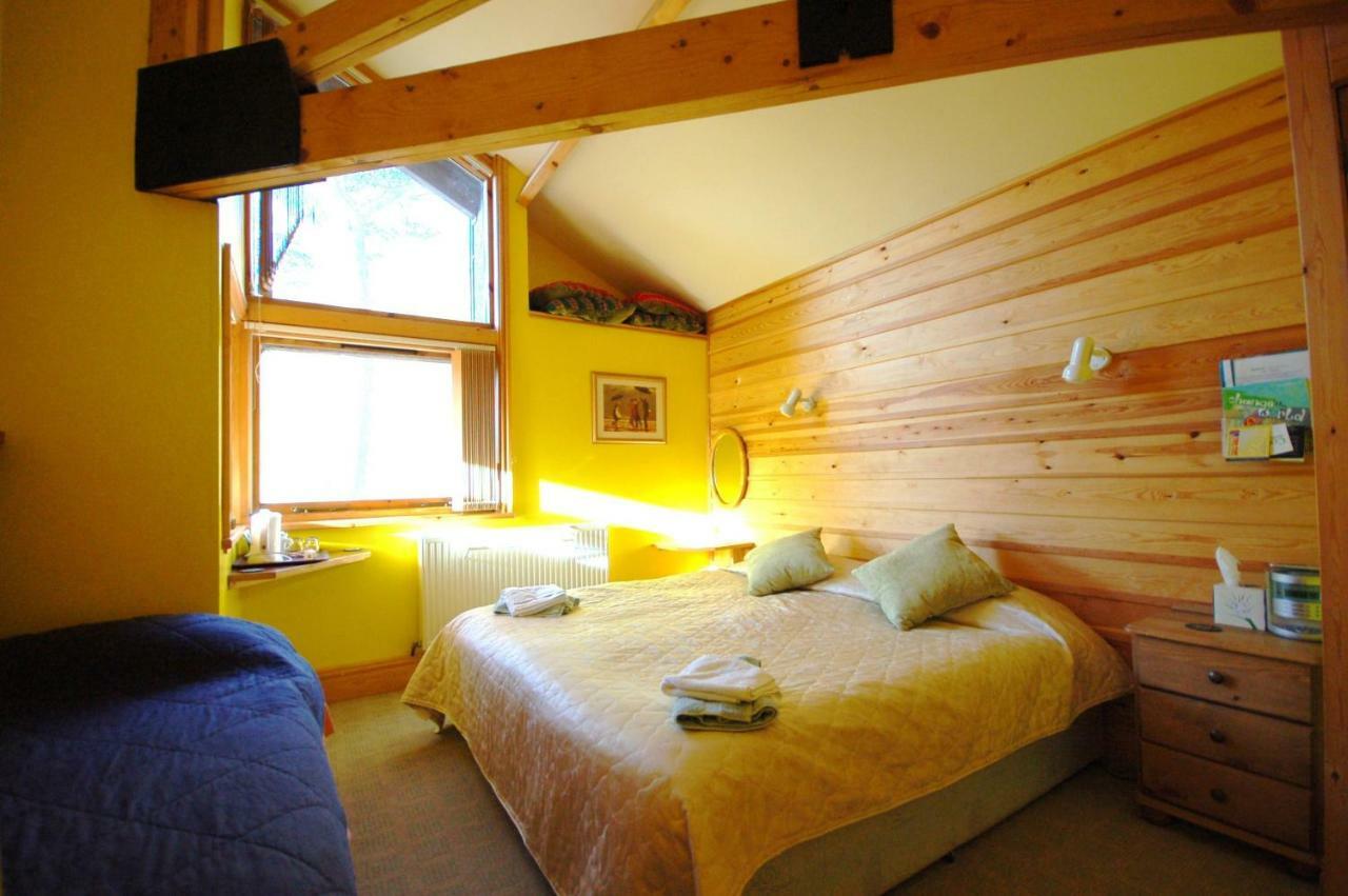 Bryn Elltyd Eco Guest House Blaenau Ffestiniog Extérieur photo
